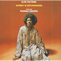 Los mejores  - Journey In Satchidananda
